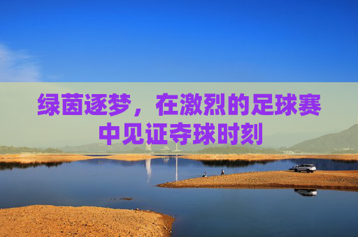 绿茵逐梦,在激烈的足球赛中见证夺球时刻