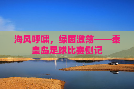 海风呼啸,绿茵激荡——秦皇岛足球比赛侧记