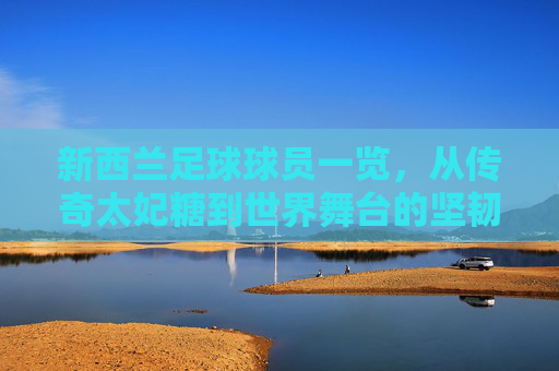 新西兰足球球员一览，从传奇太妃糖到世界舞台的坚韧力量