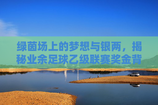 绿茵场上的梦想与银两,揭秘业余足球乙级联赛奖金背后的故事