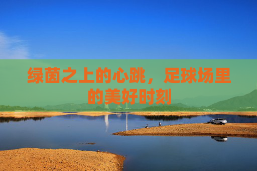 绿茵之上的心跳,足球场里的美好时刻