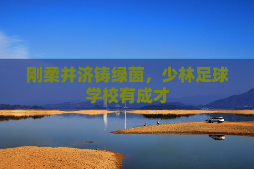 刚柔并济铸绿茵,少林足球学校有成才