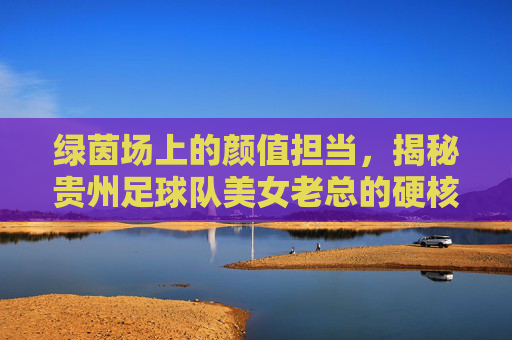 绿茵场上的颜值担当,揭秘贵州足球队美女老总的硬核风采