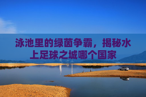 泳池里的绿茵争霸,揭秘水上足球之城哪个国家