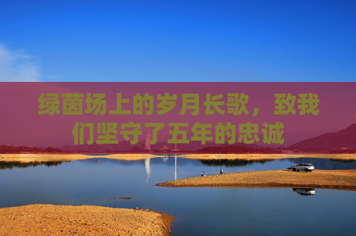 绿茵场上的岁月长歌,致我们坚守了五年的忠诚