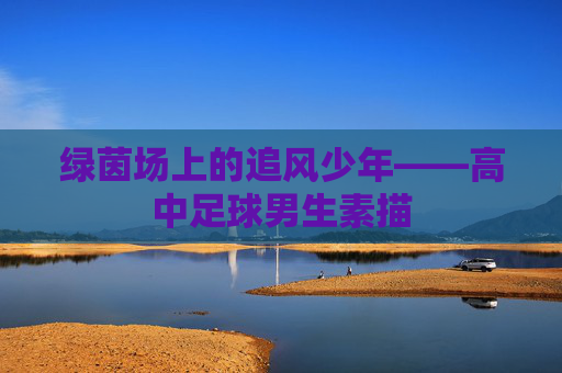绿茵场上的追风少年——高中足球男生素描