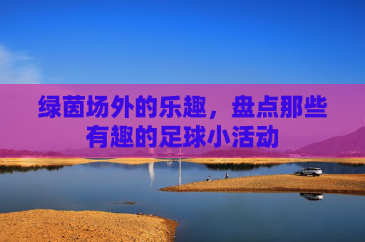 绿茵场外的乐趣，盘点那些有趣的足球小活动
