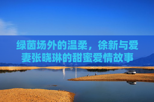 绿茵场外的温柔,徐新与爱妻张晓琳的甜蜜爱情故事