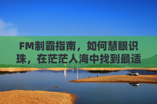 FM制霸指南,如何慧眼识珠,在茫茫人海中找到最适合你的救世主