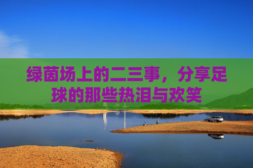 绿茵场上的二三事，分享足球的那些热泪与欢笑