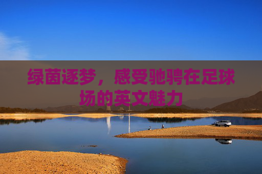 绿茵逐梦，感受驰骋在足球场的英文魅力