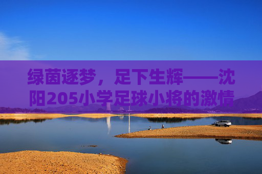 绿茵逐梦，足下生辉——沈阳205小学足球小将的激情与成长