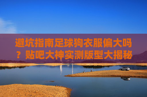 避坑指南足球狗衣服偏大吗?贴吧大神实测版型大揭秘