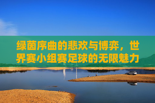 绿茵序曲的悲欢与博弈，世界赛小组赛足球的无限魅力