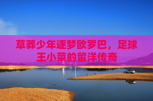 草莽少年逐梦欧罗巴,足球王小菜的留洋传奇