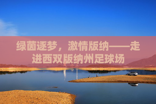 绿茵逐梦,激情版纳——走进西双版纳州足球场