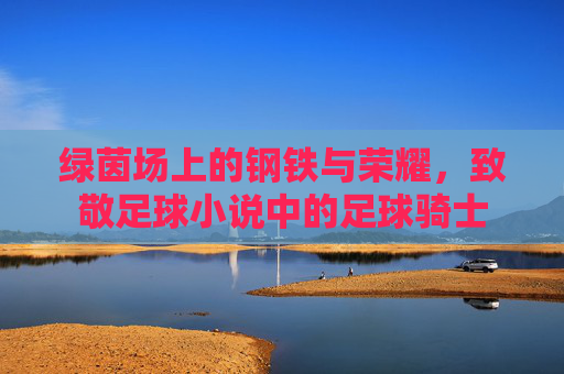 绿茵场上的钢铁与荣耀，致敬足球小说中的足球骑士