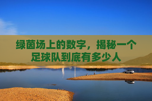 绿茵场上的数字,揭秘一个足球队到底有多少人