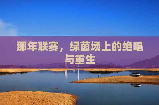 那年联赛,绿茵场上的绝唱与重生