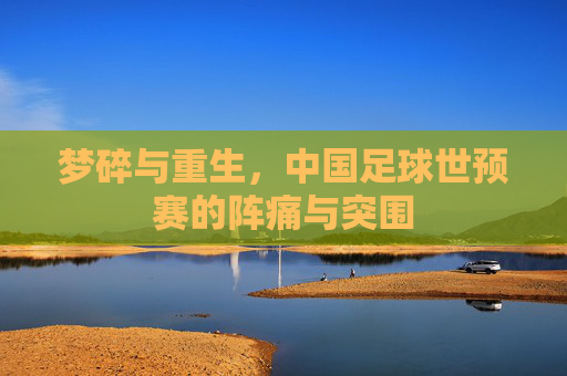 梦碎与重生，中国足球世预赛的阵痛与突围