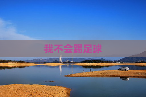 我不会踢足球