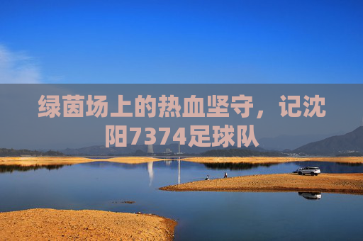 绿茵场上的热血坚守,记沈阳7374足球队