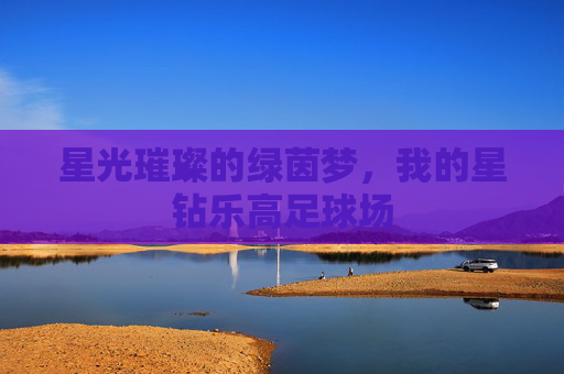 星光璀璨的绿茵梦，我的星钻乐高足球场