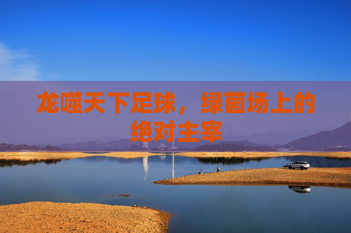 龙噬天下足球,绿茵场上的绝对主宰