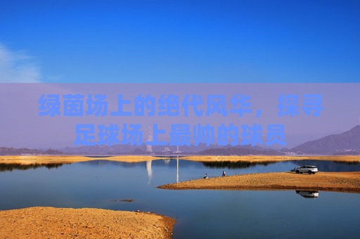 绿茵场上的绝代风华,探寻足球场上最帅的球员