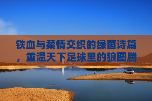 铁血与柔情交织的绿茵诗篇,重温天下足球里的狼图腾