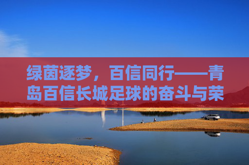 绿茵逐梦，百信同行——青岛百信长城足球的奋斗与荣耀