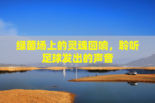 绿茵场上的灵魂回响，聆听足球发出的声音