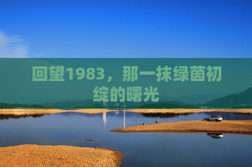 回望1983,那一抹绿茵初绽的曙光