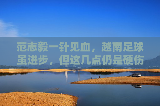 范志毅一针见血，越南足球虽进步，但这几点仍是硬伤