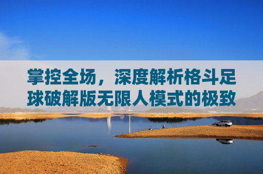 掌控全场,深度解析格斗足球破解版无限人模式的极致爽感