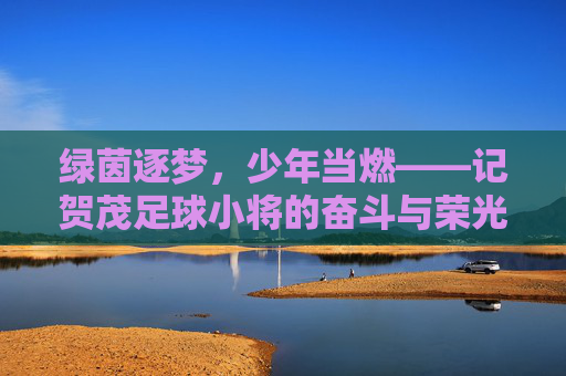 绿茵逐梦，少年当燃——记贺茂足球小将的奋斗与荣光