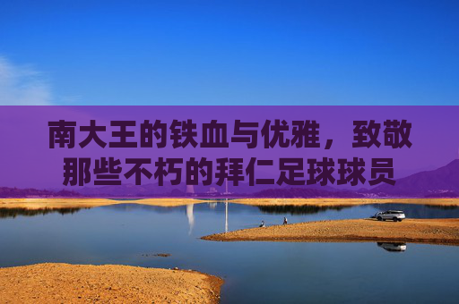 南大王的铁血与优雅，致敬那些不朽的拜仁足球球员