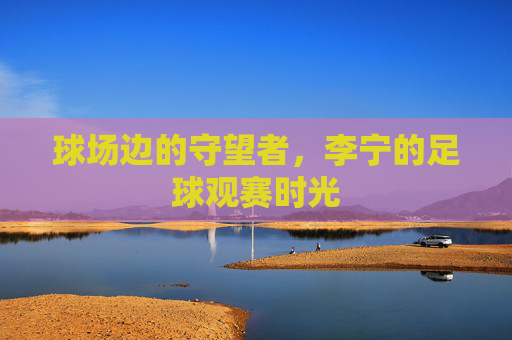 球场边的守望者,李宁的足球观赛时光