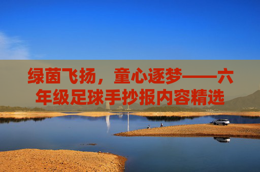 绿茵飞扬,童心逐梦——六年级足球手抄报内容精选