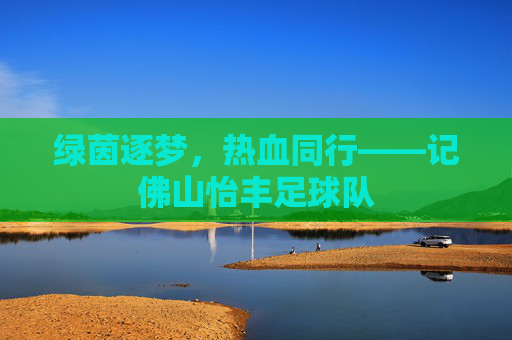 绿茵逐梦，热血同行——记佛山怡丰足球队