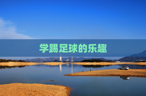 学踢足球的乐趣