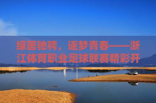 绿茵驰骋,逐梦青春——浙江体育职业足球联赛精彩开赛