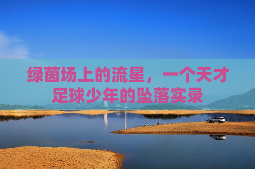 绿茵场上的流星,一个天才足球少年的坠落实录