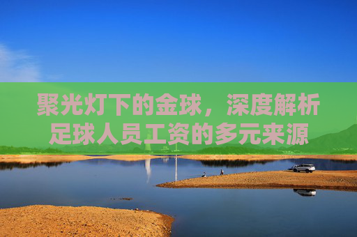 聚光灯下的金球,深度解析足球人员工资的多元来源