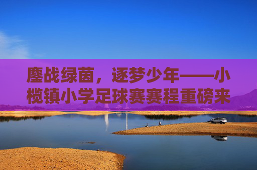 鏖战绿茵,逐梦少年——小榄镇小学足球赛赛程重磅来袭!