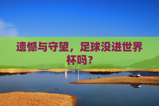 遗憾与守望，足球没进世界杯吗？