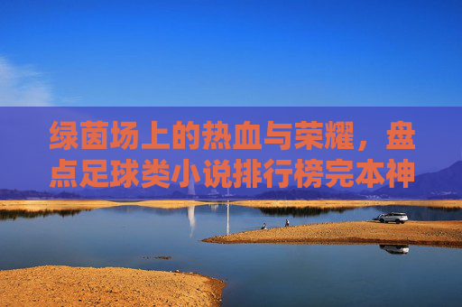 绿茵场上的热血与荣耀,盘点足球类小说排行榜完本神作