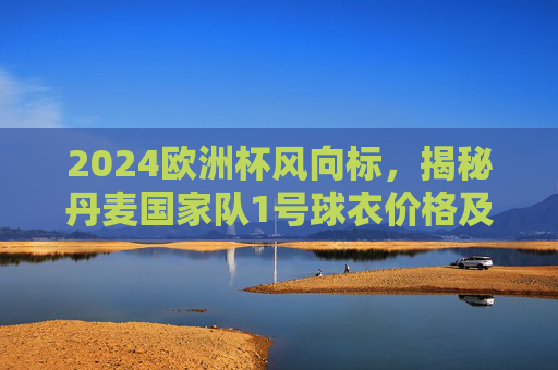 2024欧洲杯风向标，揭秘丹麦国家队1号球衣价格及购买指南