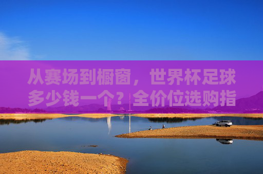 从赛场到橱窗,世界杯足球多少钱一个?全价位选购指南
