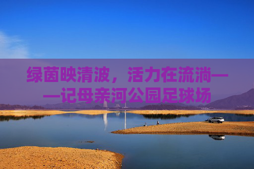 绿茵映清波，活力在流淌——记母亲河公园足球场